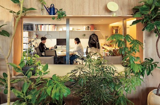 25年1月号　街に開いた設計事務所